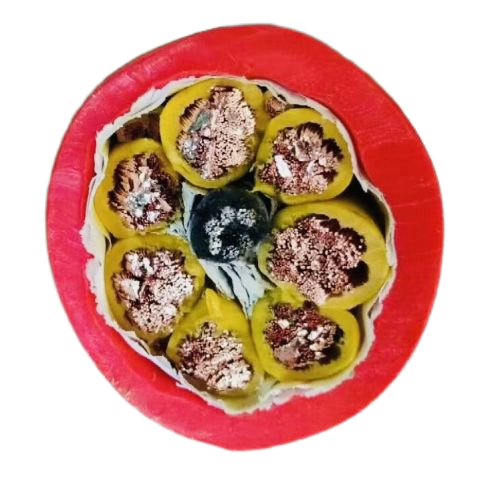 ������̳��hibet(�й�)�ٷ���վ