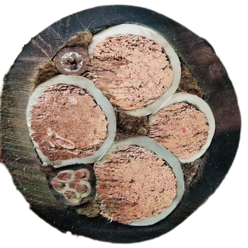 ������̳��hibet(�й�)�ٷ���վ